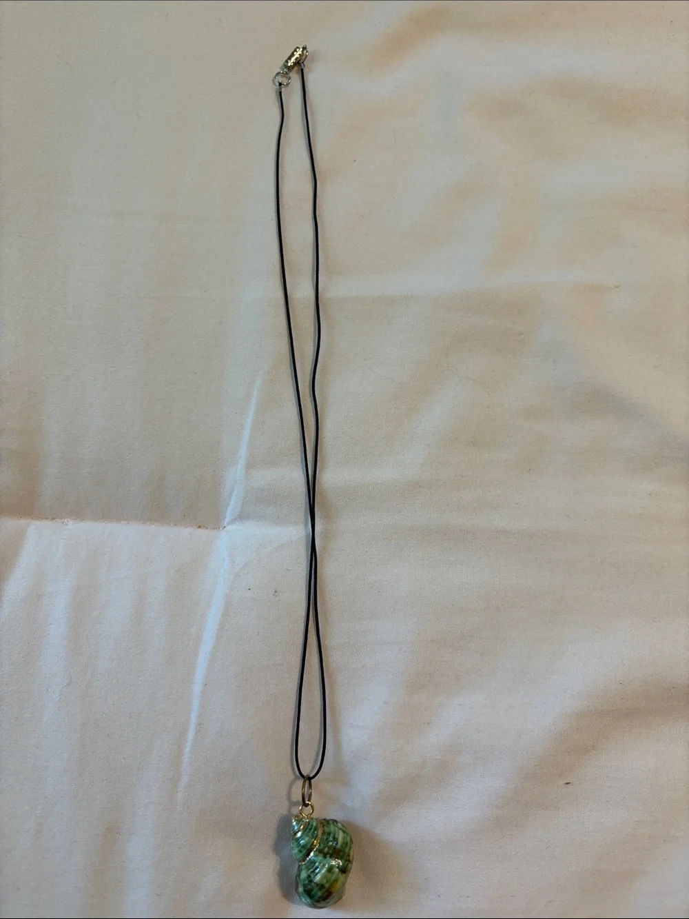 belk Green Shell Pendant on Black Cord Necklace